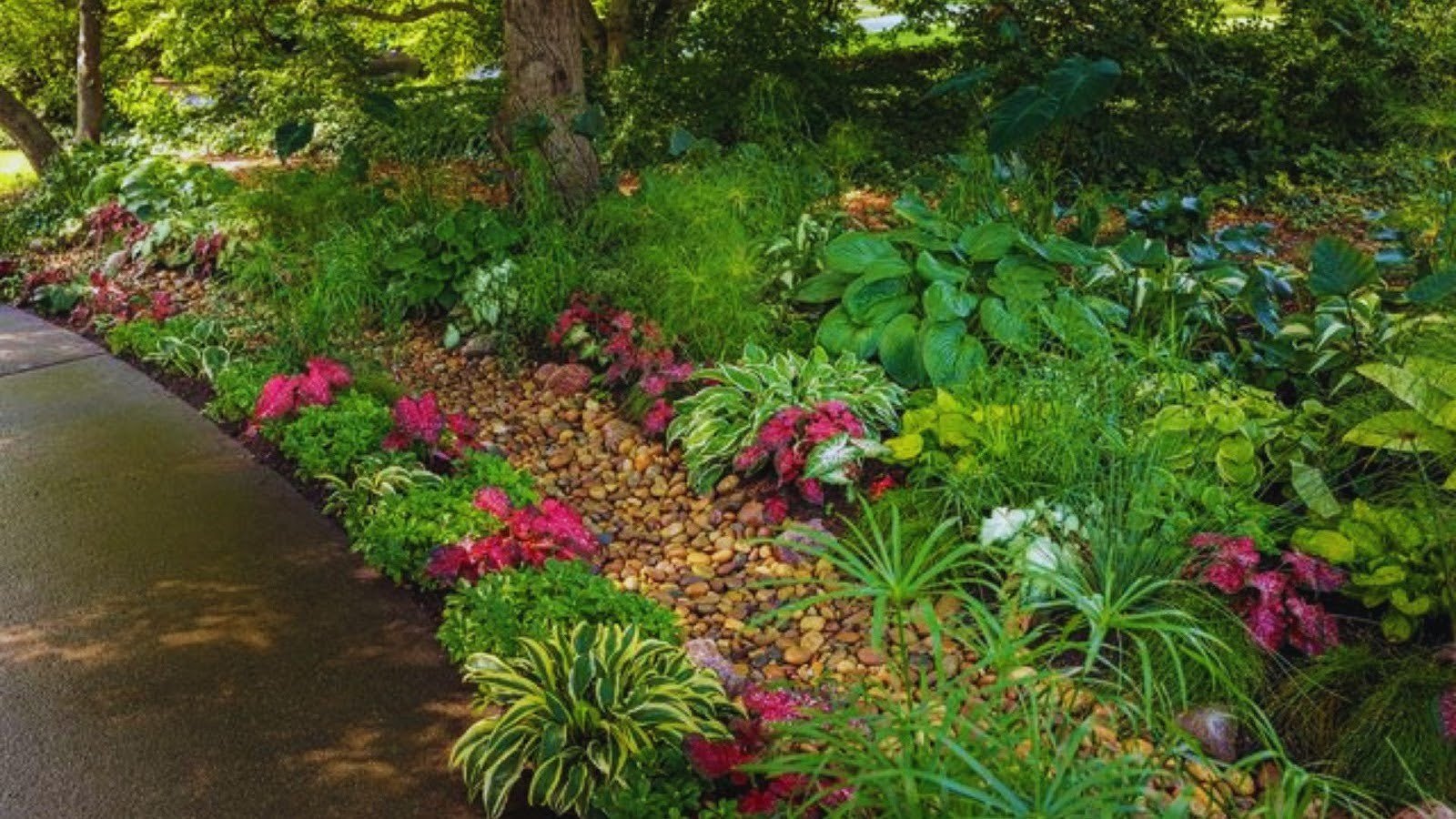 Moisture-Loving Shrubs