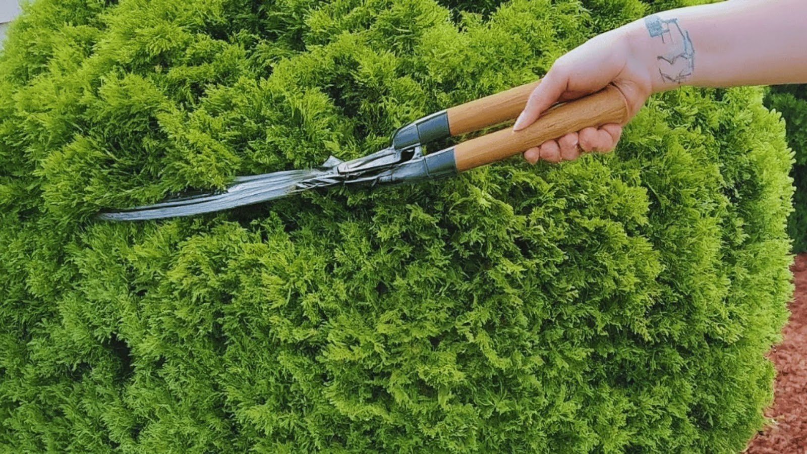 Why Fall Isn't the Ideal Time